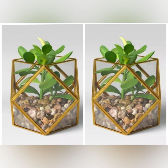 Set o f 2) 5" x 4" Artificial Succulent Plant with Brass Terrarium - Opalhouse - Picture 1 of 7